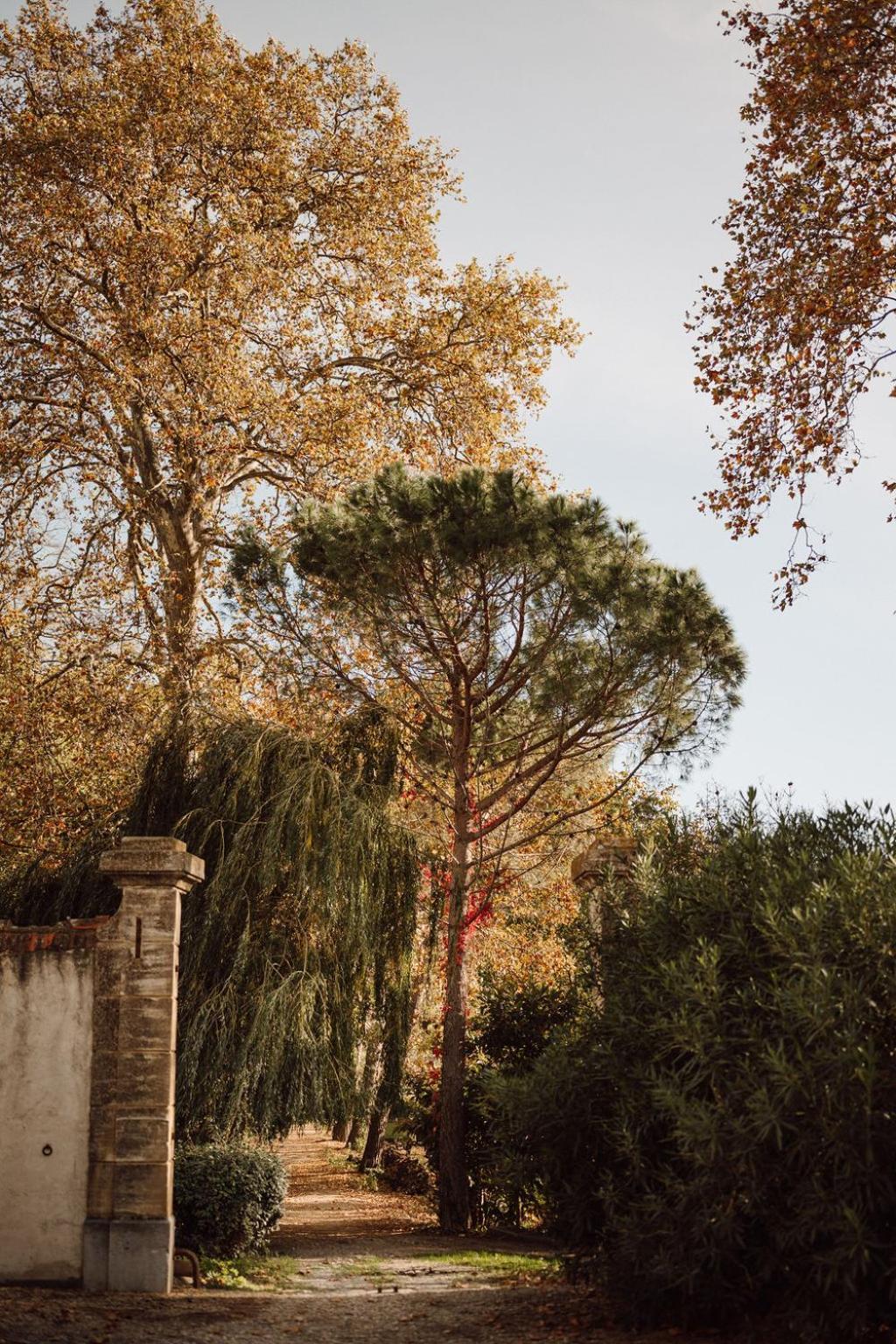 Gîte Superbe L'Ecurie XIXème Sallèles-dʼAude Extérieur photo